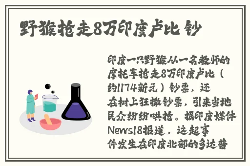 ysl千人千色t9和55v81
